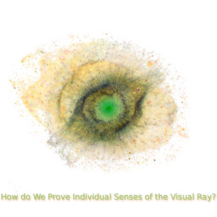 How do We Prove Individual Senses of the Visual Ray?