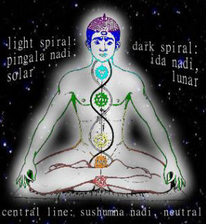 the chakra channels