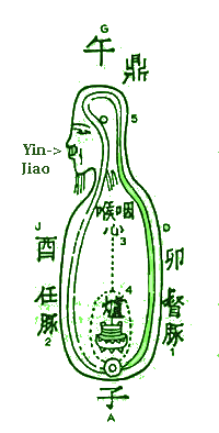 Grand Circulation and Yin Jiao Point